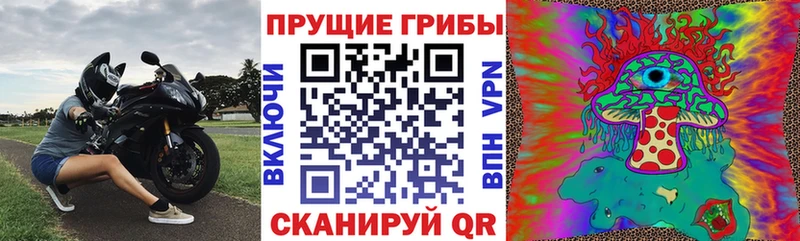 Галлюциногенные грибы GOLDEN TEACHER  Купить где  Новочеркасск 